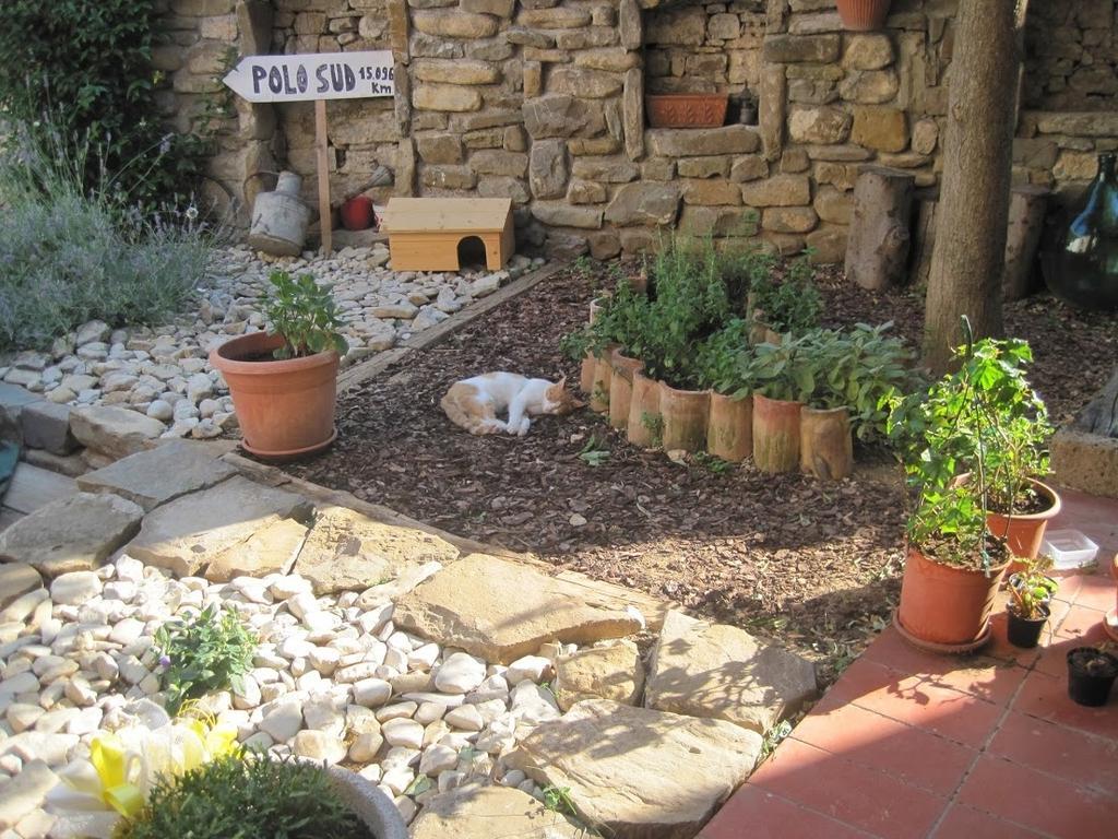 Rosandra Bed and Breakfast San Dorligo della Valle Eksteriør billede
